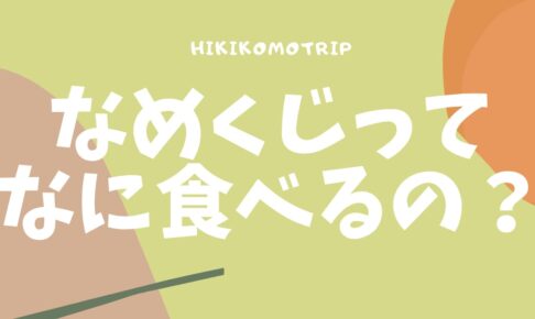 Hikikomotrip｜ブログで旅するひきこもり